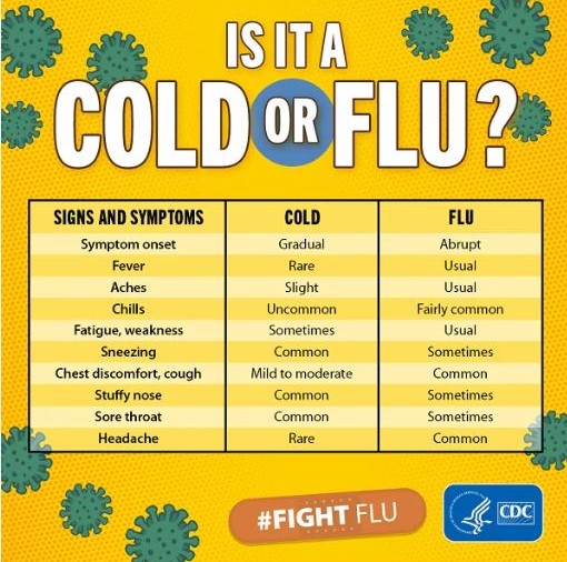 flu or cold