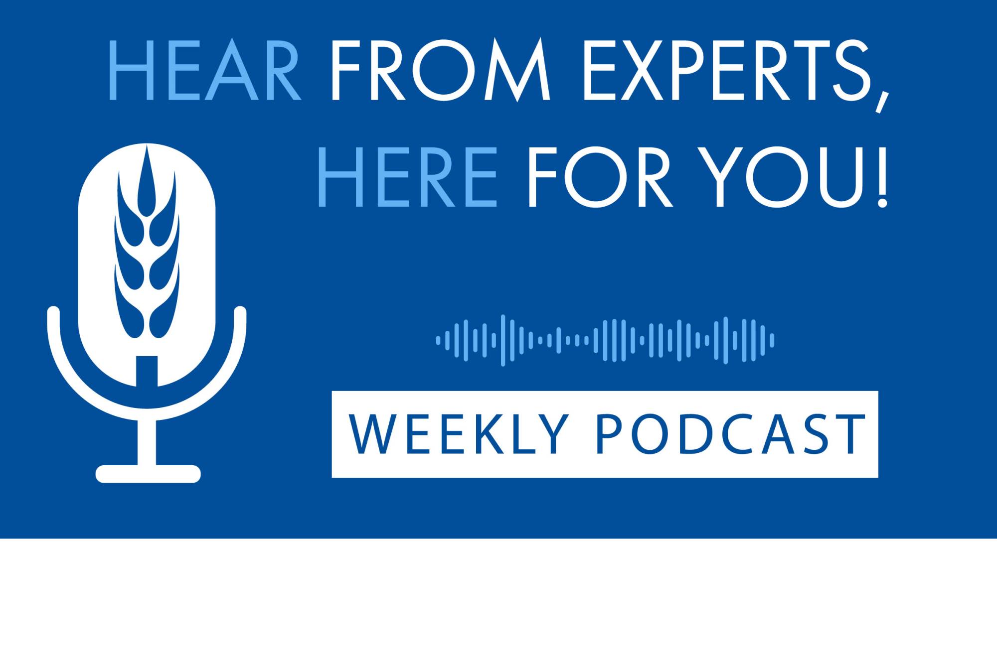 &quot;Hear from Experts, Here for You!&quot; a Prairie Lakes Healthcare System podcast