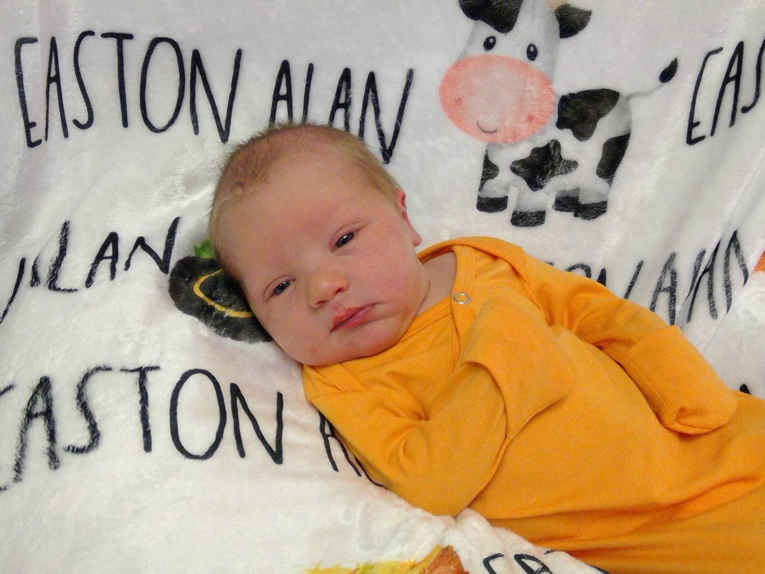 Easton Alan