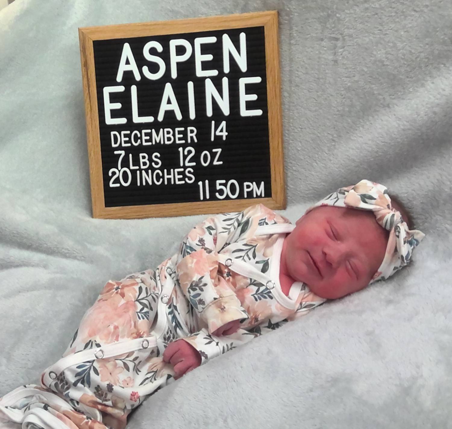 Aspen Elaine