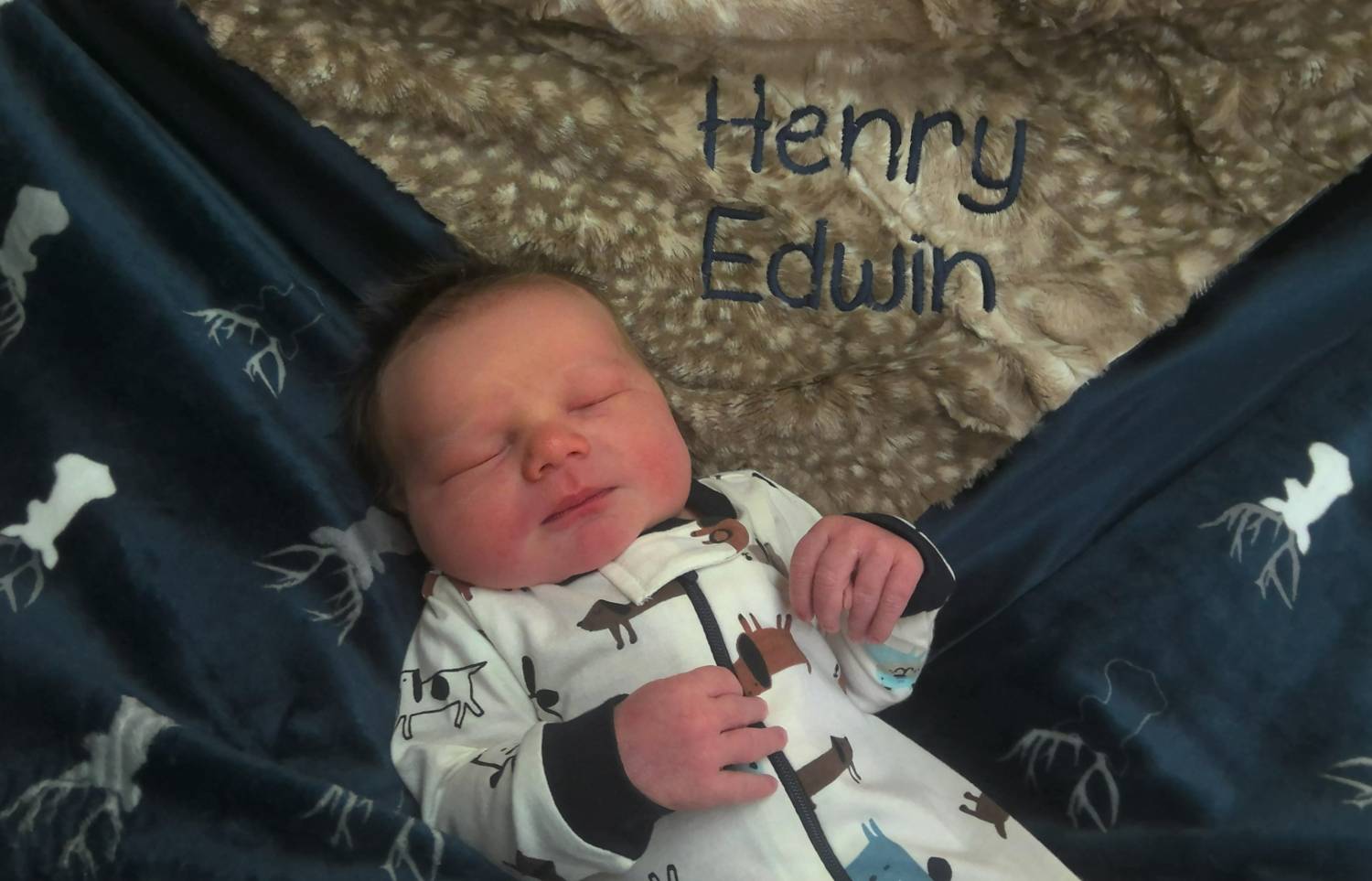 Henry Edwin