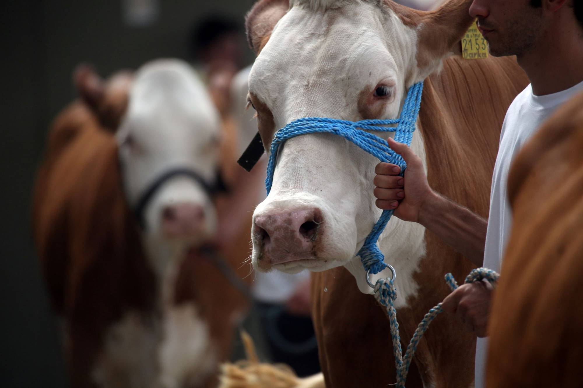 79th Annual Winter Farm Show